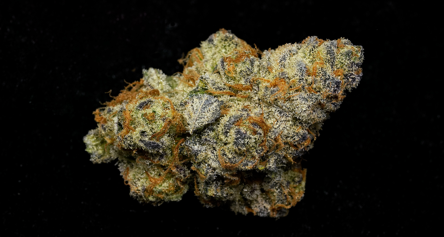 Quick Draw Cannabis Bud