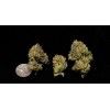 Cookies and Cream Cannabis