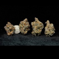 Hush Money - Premium
