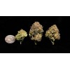 Purple Punch