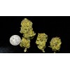 White Tahoe Cookies